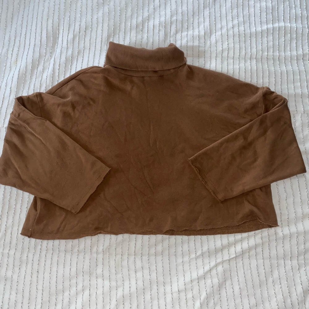 Cropped American Eagle turtle neck sweatshirt